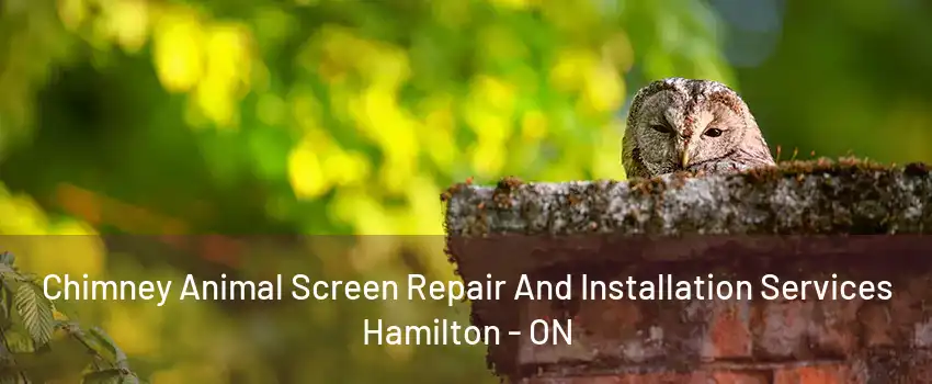 Chimney Animal Screen Repair And Installation Services Hamilton - ON