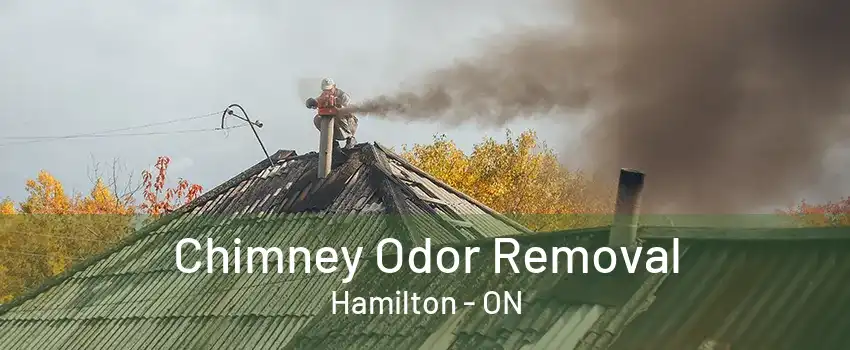 Chimney Odor Removal Hamilton - ON