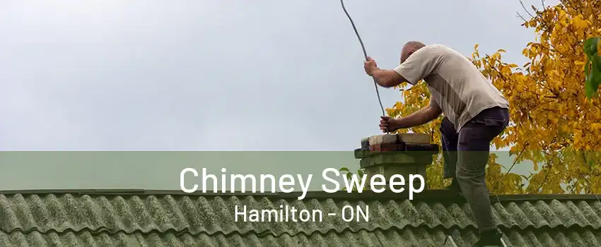 Chimney Sweep Hamilton - ON