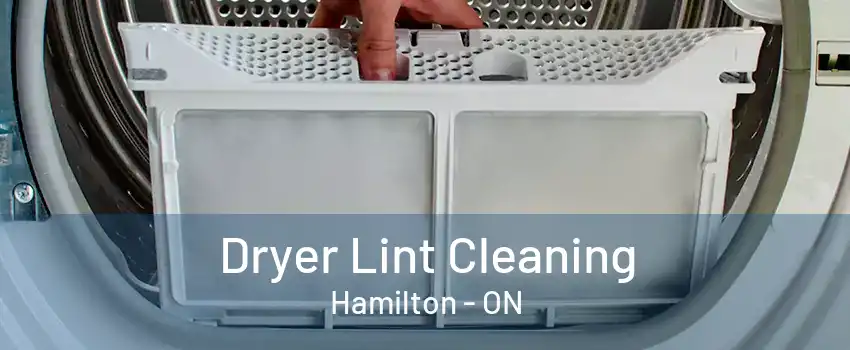 Dryer Lint Cleaning Hamilton - ON