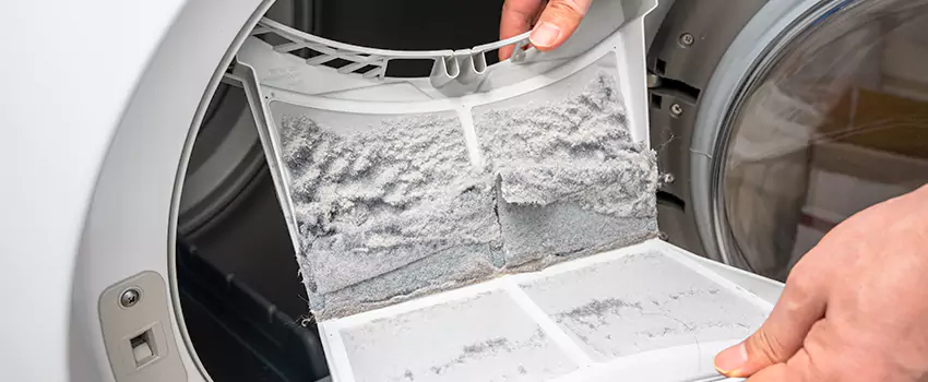 Best Dryer Lint Removal Company in Hamilton, Ontario