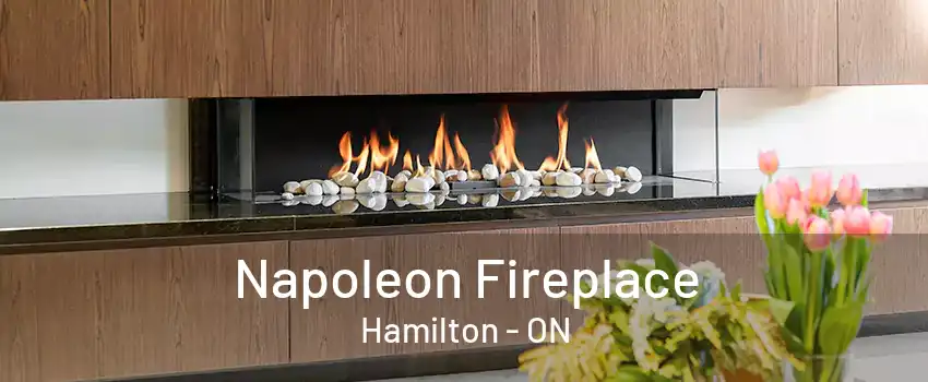 Napoleon Fireplace Hamilton - ON